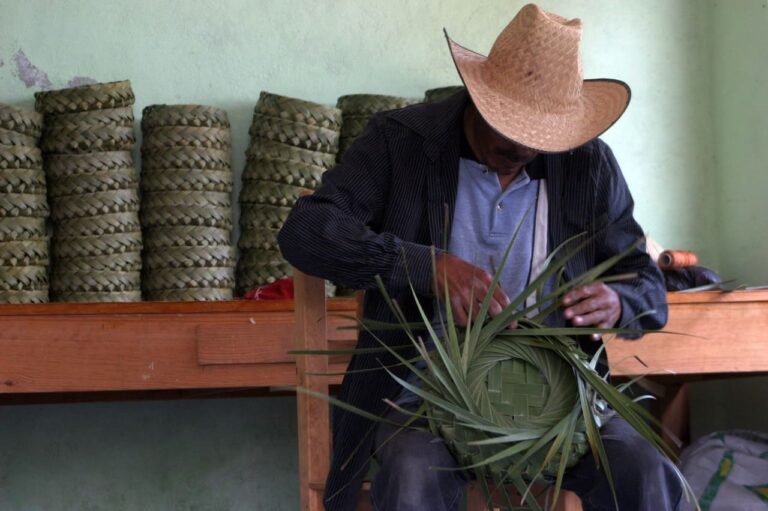 Convoca Casa de las Artesanías de Tlaxcala al XIII Concurso Estatal de Fibras Vegetales 2025