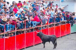 Encierro taurino en Tetla, Tlaxcala, deja 2 lesionados; espectadores captan impresionante embestida