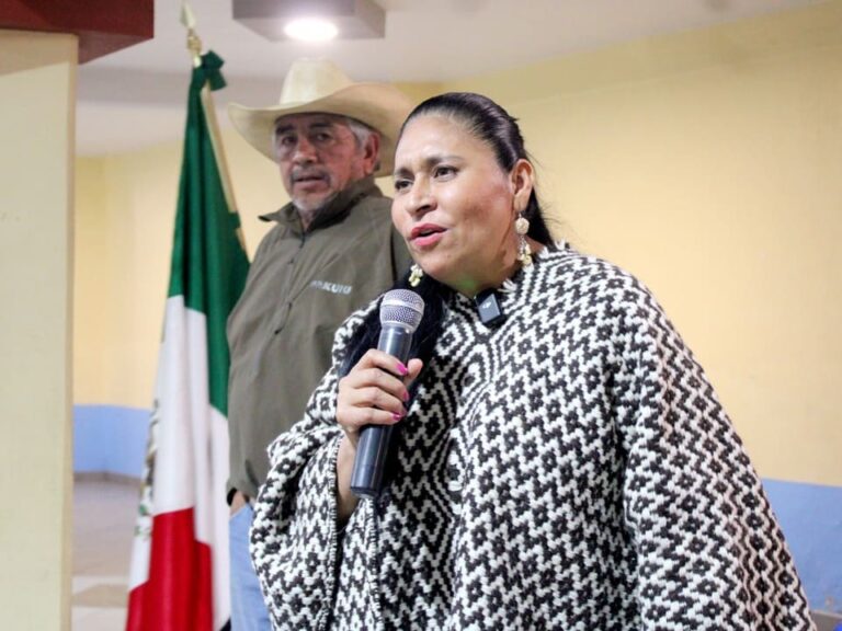 Cambiar el ejercicio del poder, el reto de la Cuarta Transformación: Ana Lilia Rivera